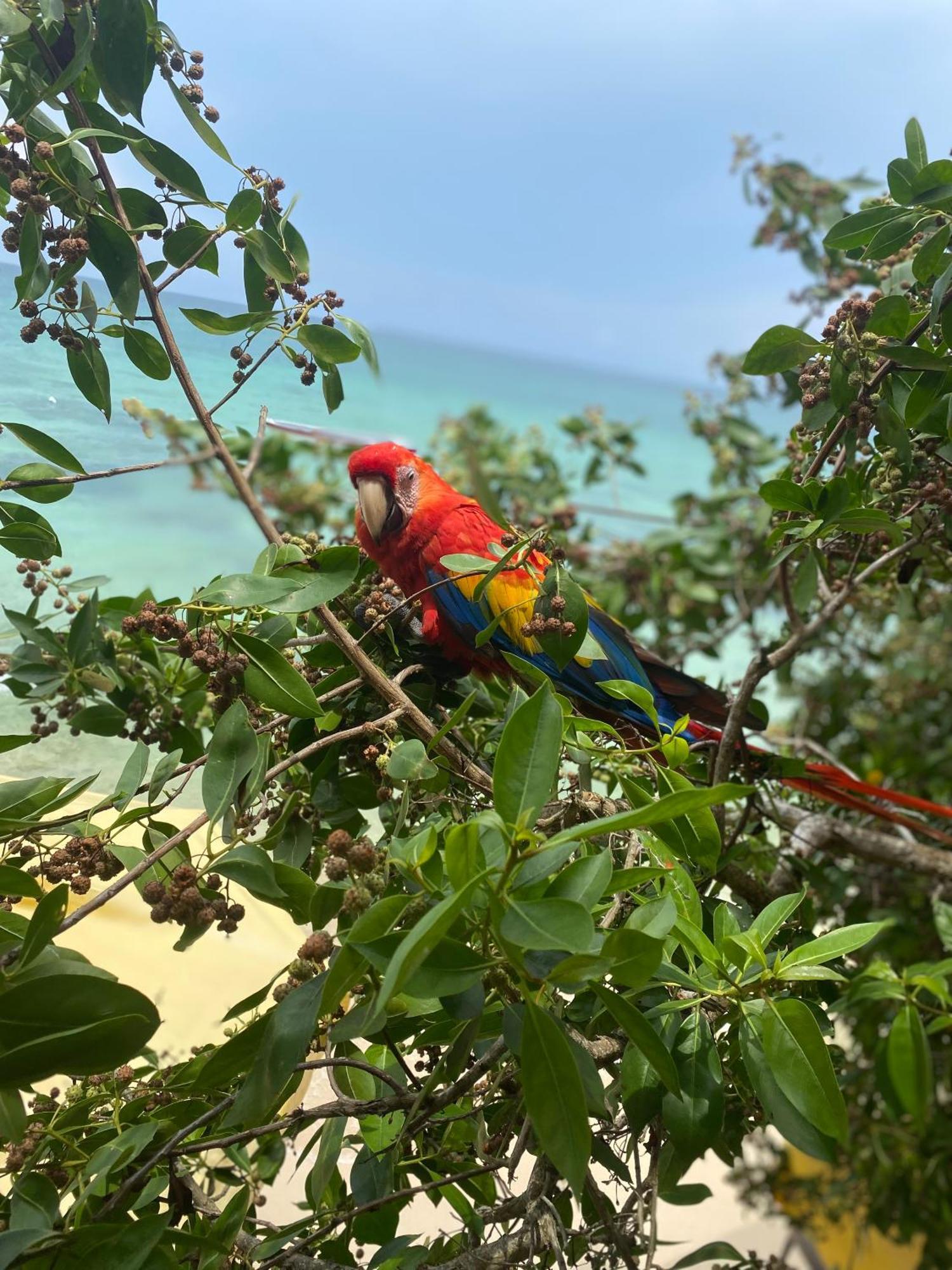 Posada Shekinah Baru Playa Blanca Buitenkant foto